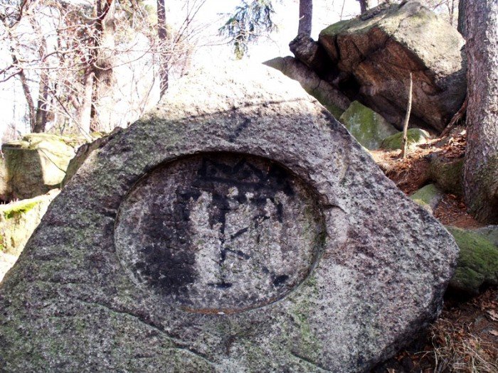 w-niezwyka-podroz-z-jelonkacom-foto-64498