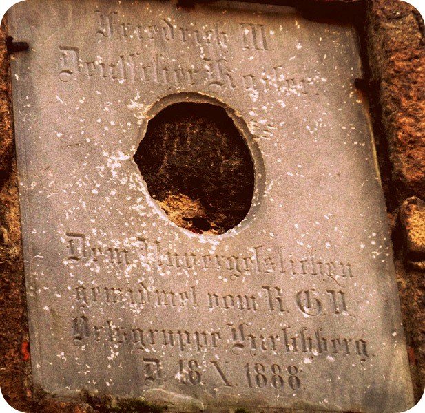 w-niezwyka-podroz-z-jelonkacom-foto-64498