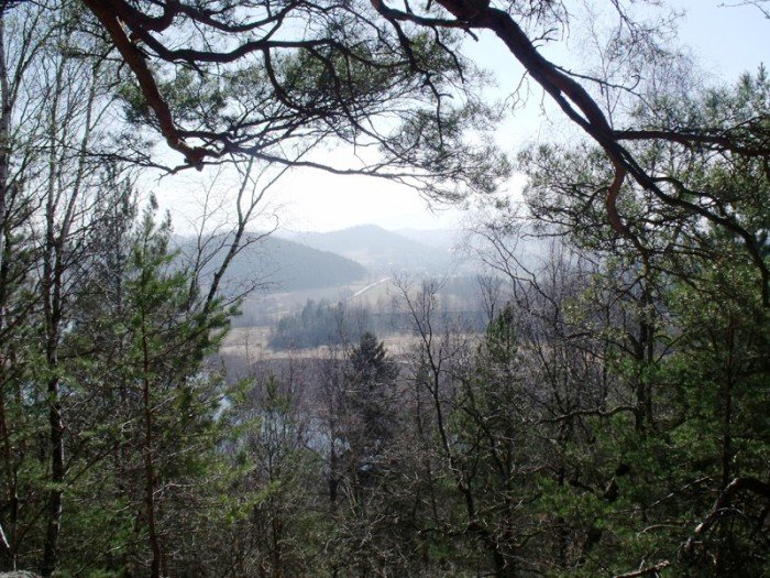 w-niezwyka-podroz-z-jelonkacom-foto-64498