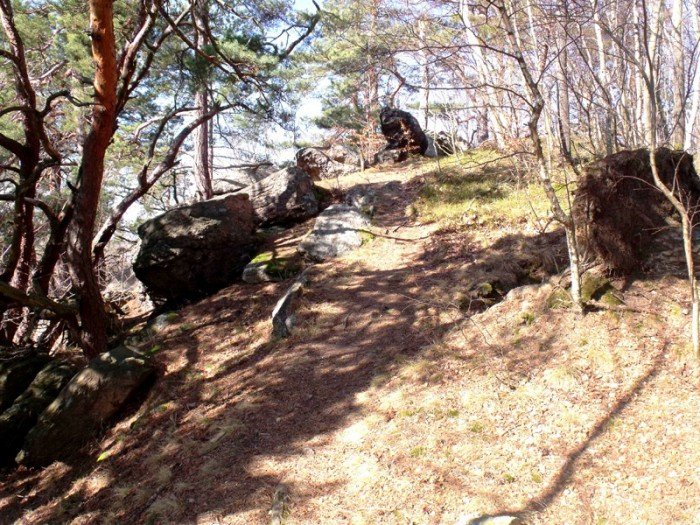 w-niezwyka-podroz-z-jelonkacom-foto-64498