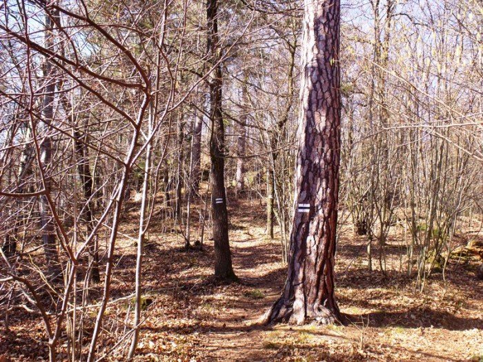w-niezwyka-podroz-z-jelonkacom-foto-64498