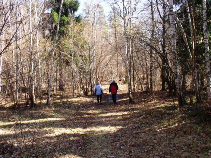 w-niezwyka-podroz-z-jelonkacom-foto-64498