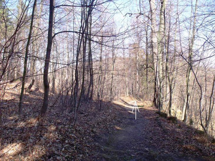 w-niezwyka-podroz-z-jelonkacom-foto-64498
