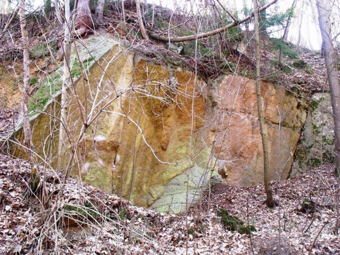 w-niezwyka-podroz-z-jelonkacom-foto-64498