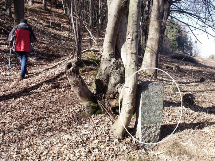 w-niezwyka-podroz-z-jelonkacom-foto-64498