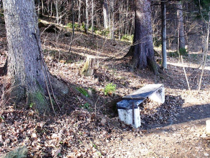 w-niezwyka-podroz-z-jelonkacom-foto-64498
