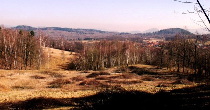 w-niezwyka-podroz-z-jelonkacom-foto-64498