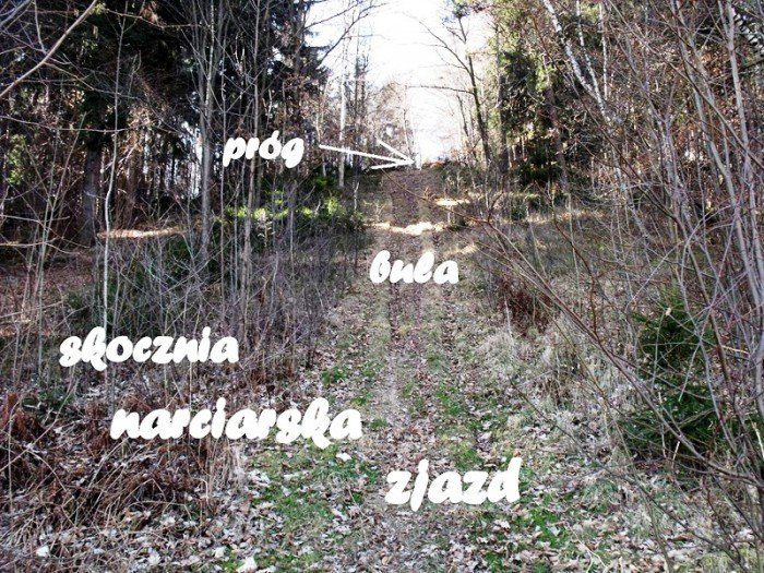 w-niezwyka-podroz-z-jelonkacom-foto-64498