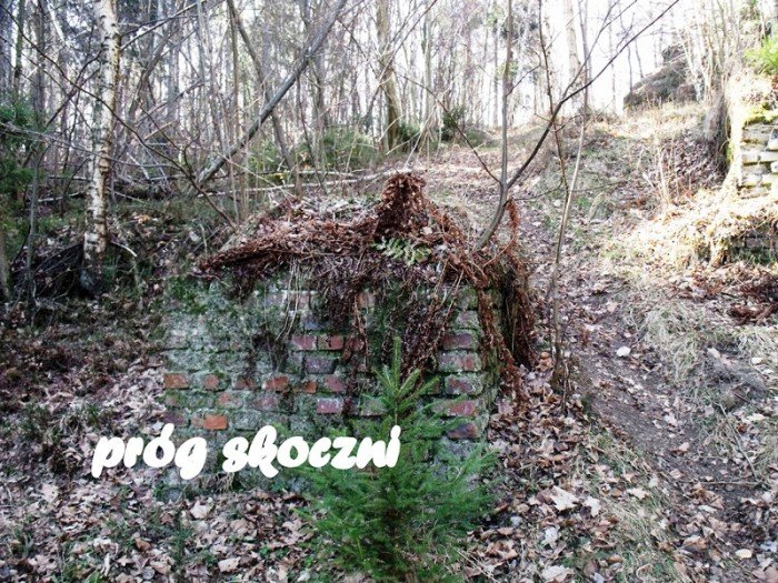 w-niezwyka-podroz-z-jelonkacom-foto-64498