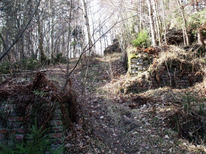 w-niezwyka-podroz-z-jelonkacom-foto-64498