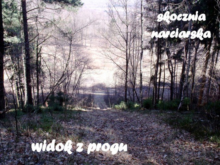 w-niezwyka-podroz-z-jelonkacom-foto-64498