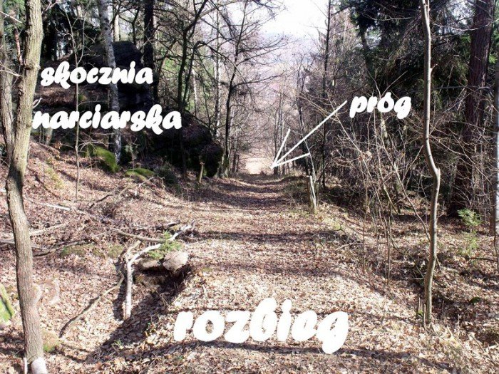 w-niezwyka-podroz-z-jelonkacom-foto-64498