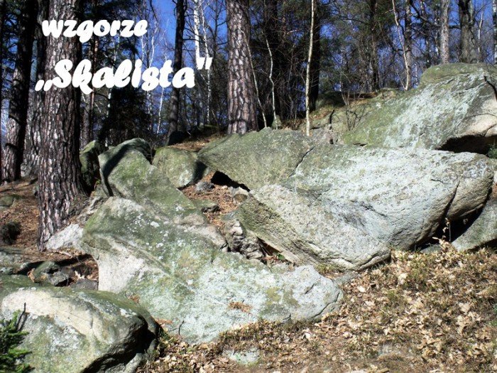 w-niezwyka-podroz-z-jelonkacom-foto-64498