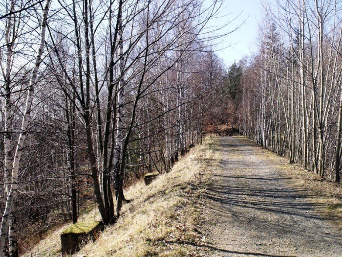 w-niezwyka-podroz-z-jelonkacom-foto-64498