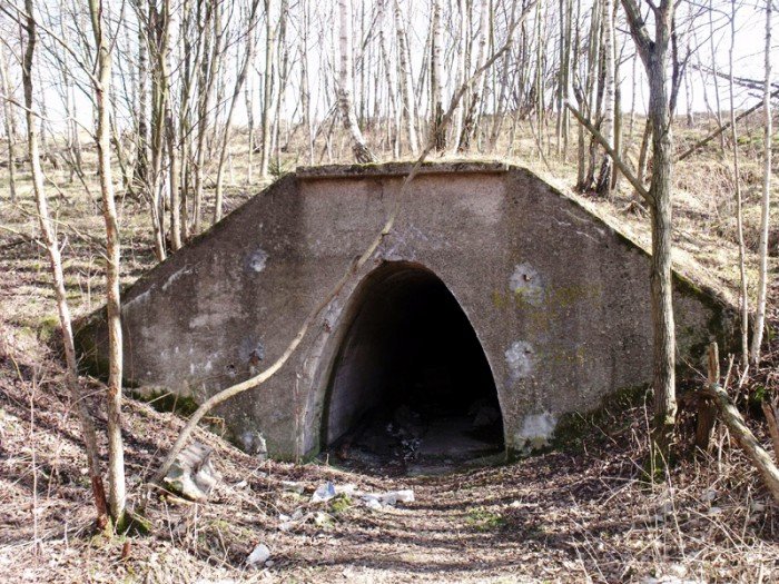 w-niezwyka-podroz-z-jelonkacom-foto-64498