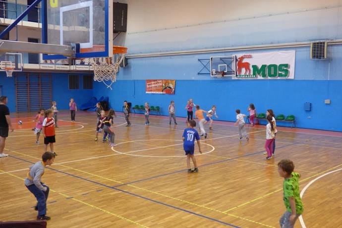 pokolonie-z-mosem-zakonczone-401-zdjec-64566