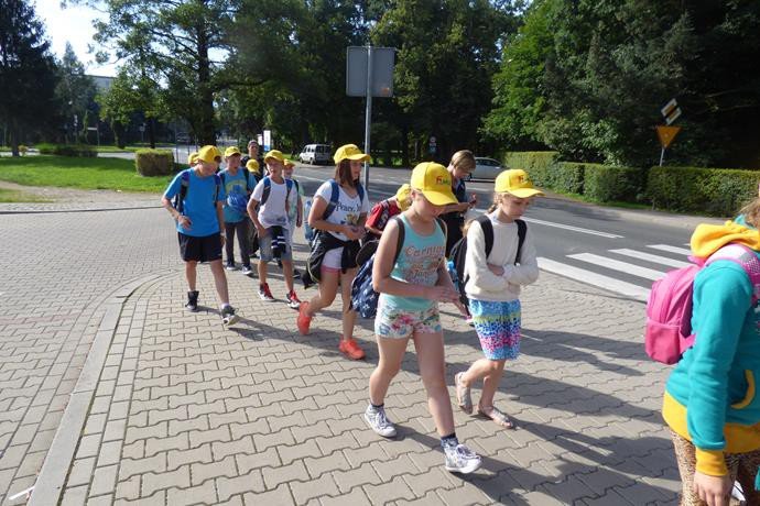 pokolonie-z-mosem-zakonczone-401-zdjec-64566