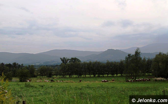 inwestycje-w-komarnie-u-progu-realizacji-foto-64573
