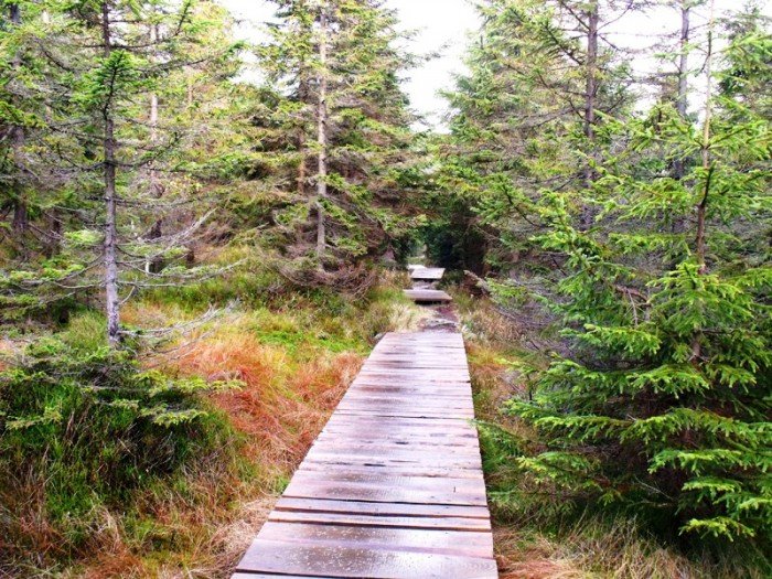 w-niezwyka-podroz-z-jelonkacom-foto-64587