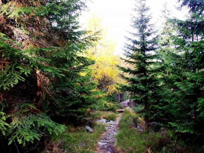 w-niezwyka-podroz-z-jelonkacom-foto-64587