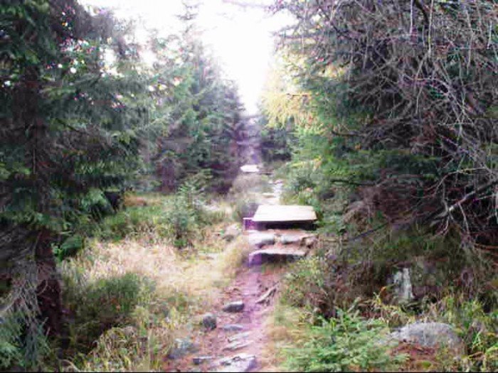 w-niezwyka-podroz-z-jelonkacom-foto-64587