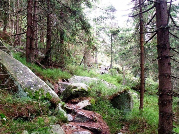 w-niezwyka-podroz-z-jelonkacom-foto-64587