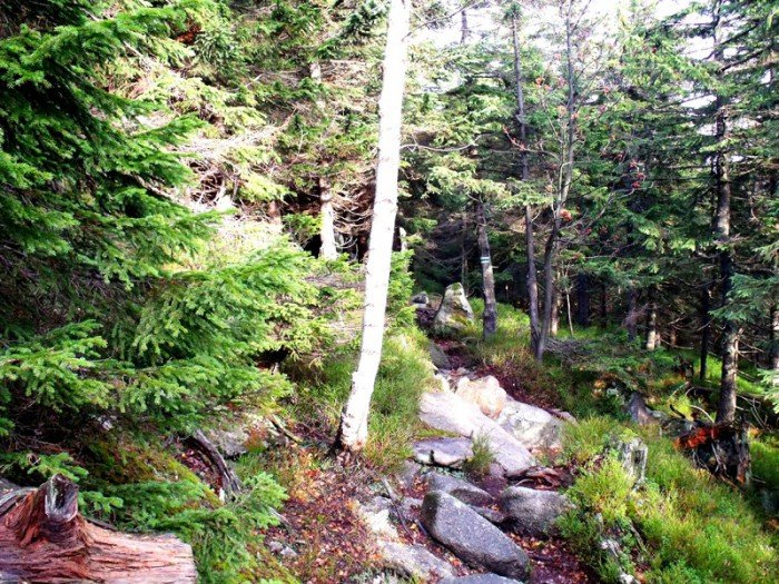 w-niezwyka-podroz-z-jelonkacom-foto-64587
