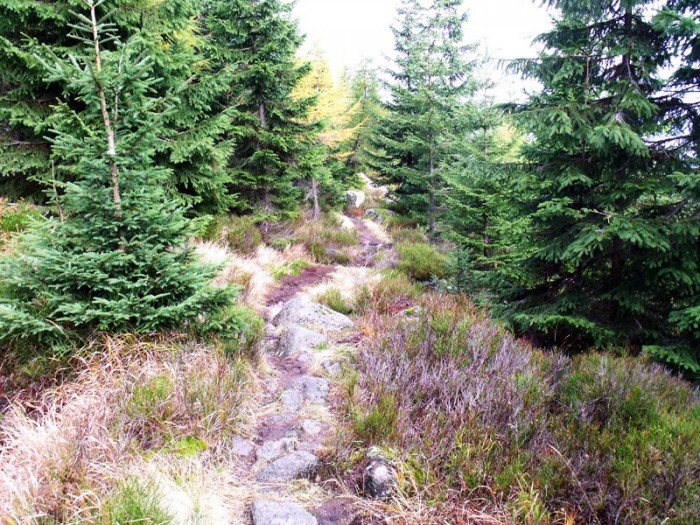 w-niezwyka-podroz-z-jelonkacom-foto-64587
