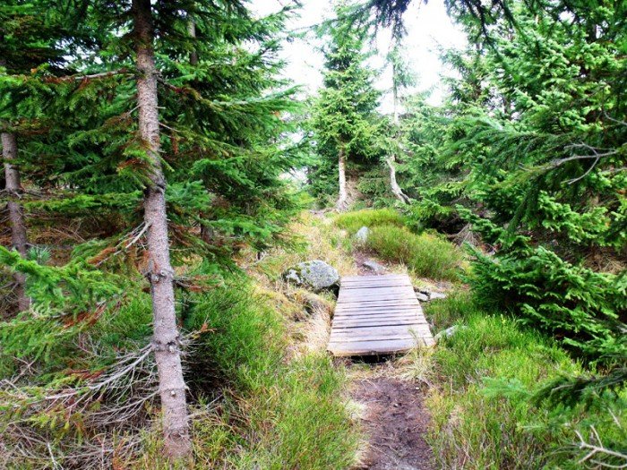 w-niezwyka-podroz-z-jelonkacom-foto-64587