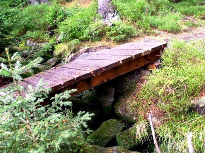 w-niezwyka-podroz-z-jelonkacom-foto-64587