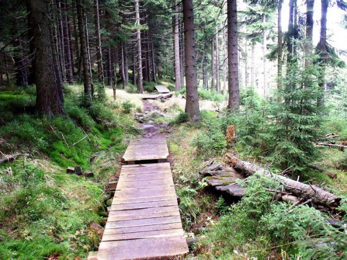 w-niezwyka-podroz-z-jelonkacom-foto-64587