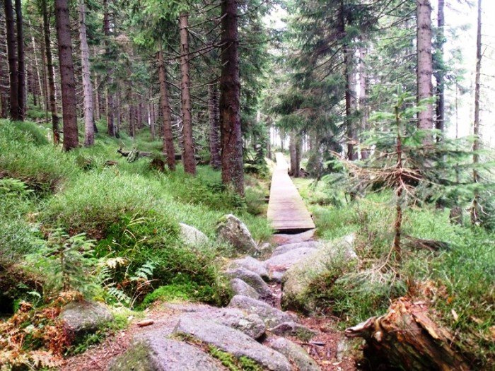 w-niezwyka-podroz-z-jelonkacom-foto-64587