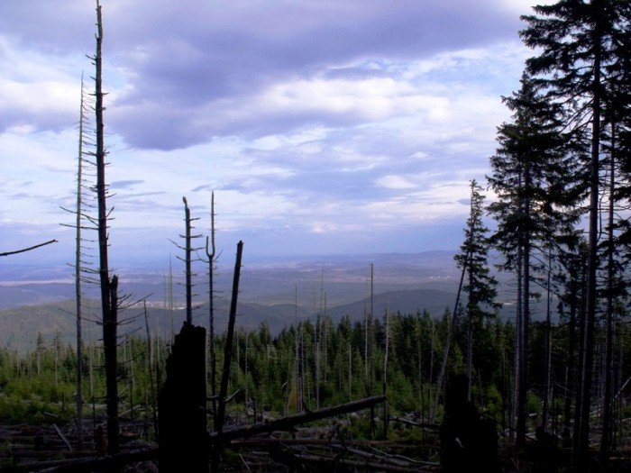 w-niezwyka-podroz-z-jelonkacom-foto-64587