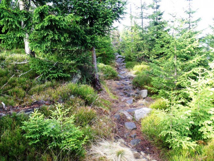 w-niezwyka-podroz-z-jelonkacom-foto-64587