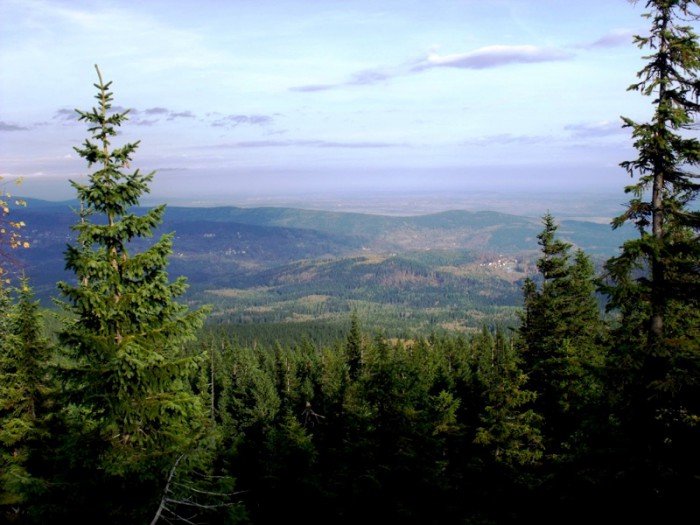 w-niezwyka-podroz-z-jelonkacom-foto-64587