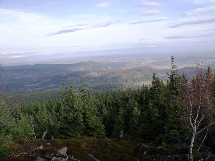 w-niezwyka-podroz-z-jelonkacom-foto-64587