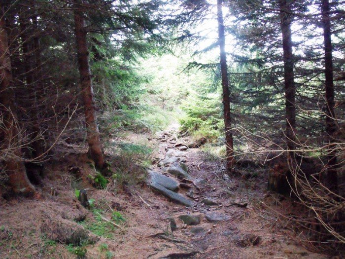 w-niezwyka-podroz-z-jelonkacom-foto-64587