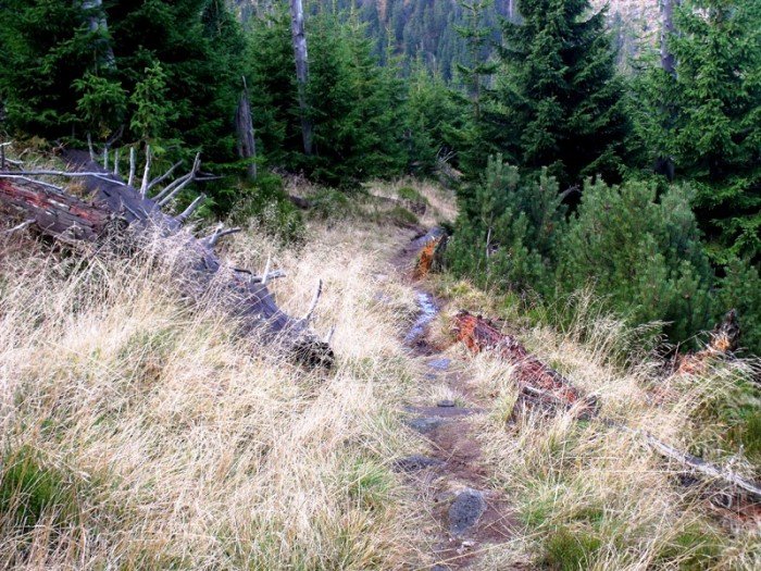w-niezwyka-podroz-z-jelonkacom-foto-64587
