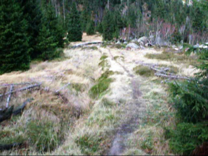 w-niezwyka-podroz-z-jelonkacom-foto-64587