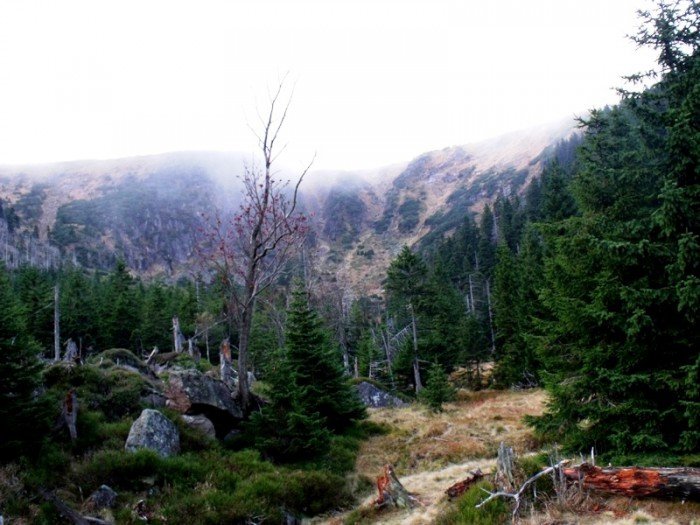 w-niezwyka-podroz-z-jelonkacom-foto-64587