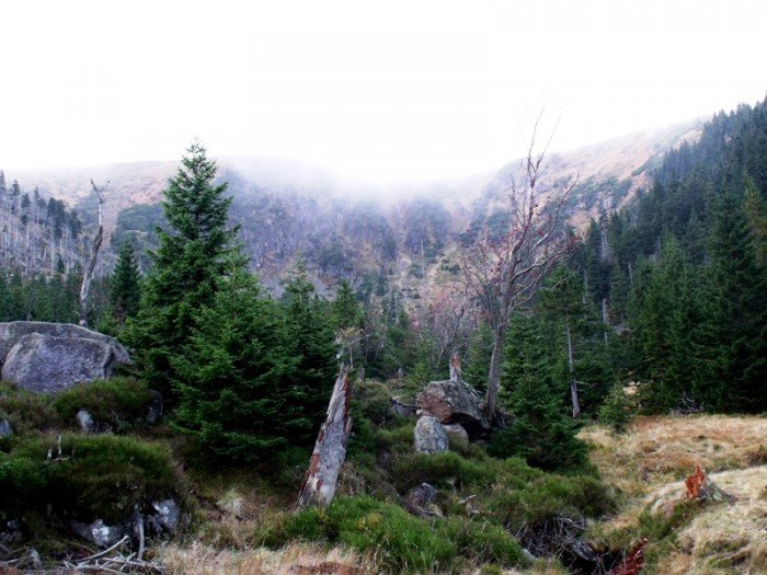 w-niezwyka-podroz-z-jelonkacom-foto-64587