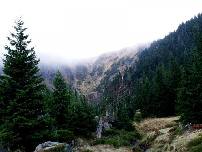 w-niezwyka-podroz-z-jelonkacom-foto-64587