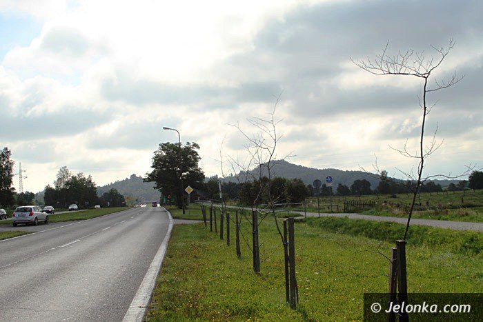 czytelnik-kto-zapaci-za-martwe-drzewka-foto-64588