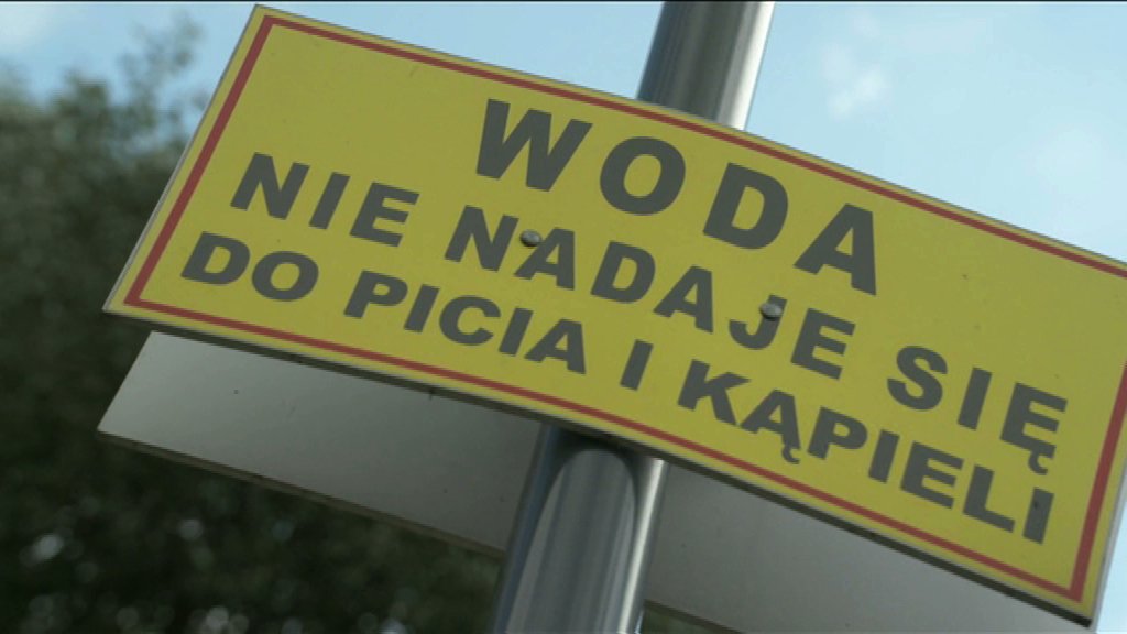 tvdami