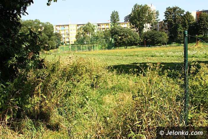 czytelniczka-chaszcze-zarosy-zabobrze-foto-64628
