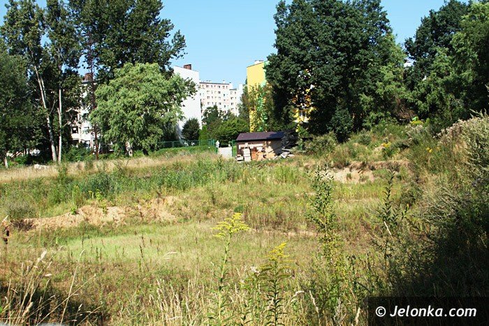 czytelniczka-chaszcze-zarosy-zabobrze-foto-64628