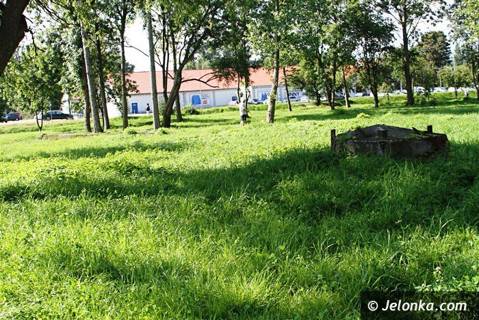 czytelniczka-chaszcze-zarosy-zabobrze-foto-64628