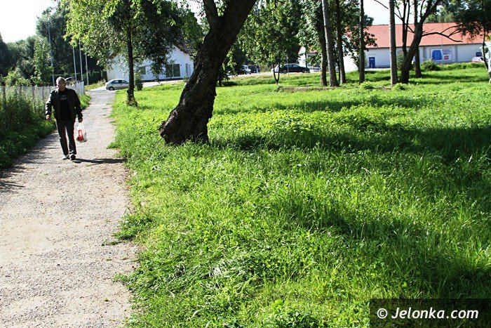 czytelniczka-chaszcze-zarosy-zabobrze-foto-64628