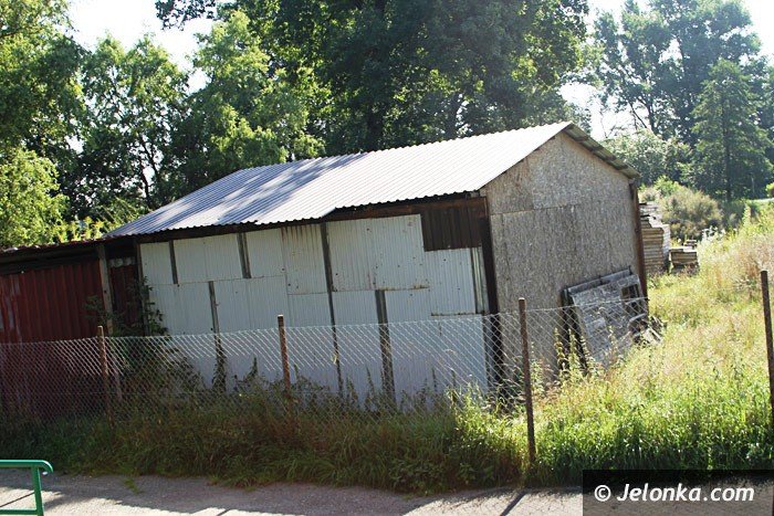 czytelniczka-chaszcze-zarosy-zabobrze-foto-64628