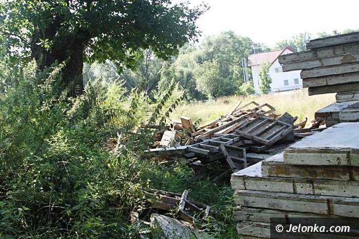 czytelniczka-chaszcze-zarosy-zabobrze-foto-64628